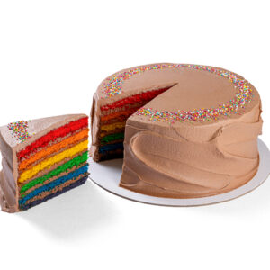 Rainbow Chocolate Cake
